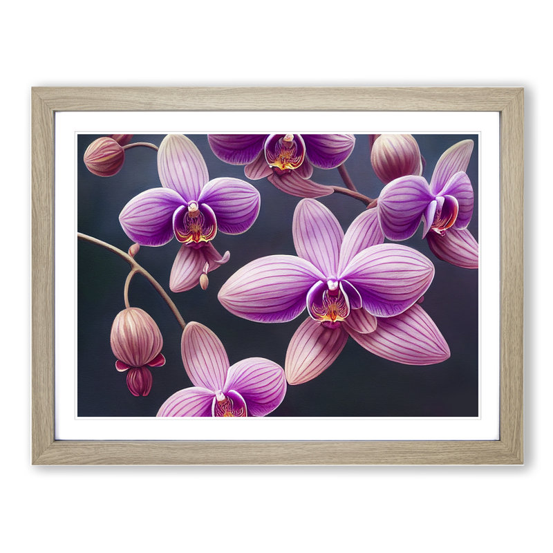 Exceptional Orchid Flowers - Single Picture Frame Print, 25cm H x 34cm W x 2cm D, Oak