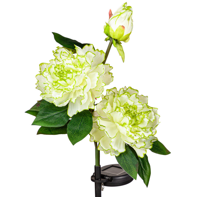 Piquet de jardin Lassandra Paeonia