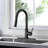 Vetta Pull Down Kitchen Faucet-100749374