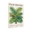 Plantes et fleurs, feuilles de palmier, feuilles d'arec, motif de feuilles tropicales-69538512