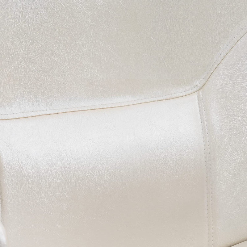 Hydraulic Reclining Salon Chair, Champagne Leather Match