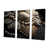 Wrapped Canvas