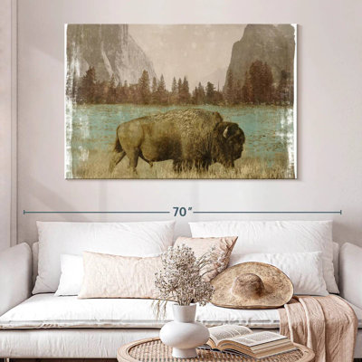 Bison dans le parc