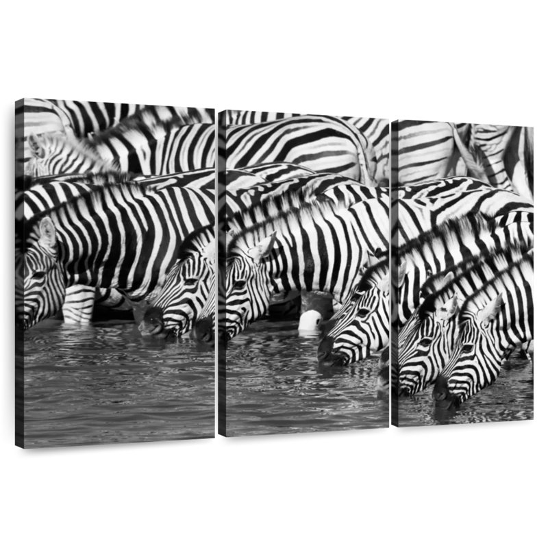 Brampt Etosha buvant des zèbres, H 20 po x l 33 po