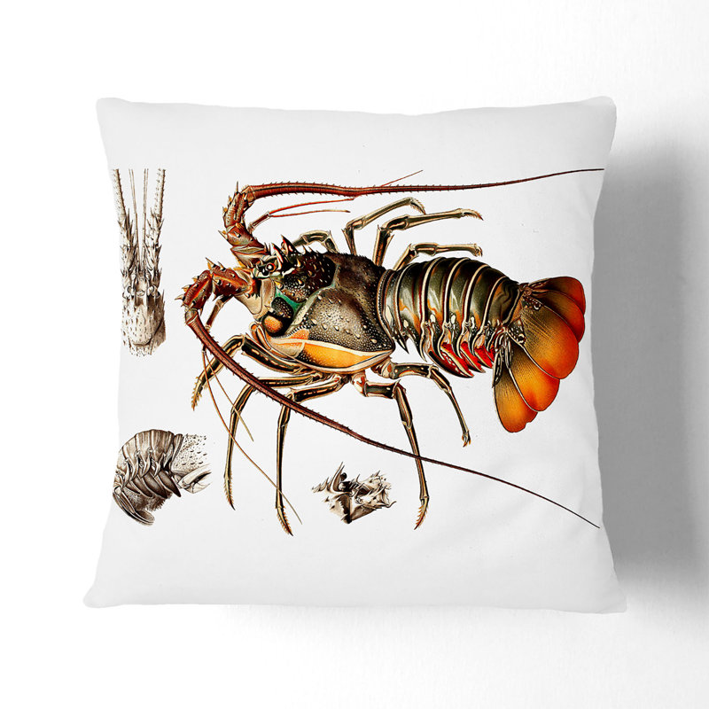 European Lobster by Albert I Cushion with Filling, 55cm H x 55cm W x 20cm D, White