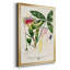Imperial Tropical Botanical II, reproduction d'art encadrée-88436363-88436364