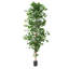 96'' Faux  Ficus Tree KD version