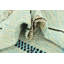 Tapis bleu clair Julian