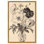 «Herbarium's Hush II», illustrations florales sur toile par Art Remedy