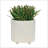 S/2 6/8" TEXTURED PLANTERS-797770231