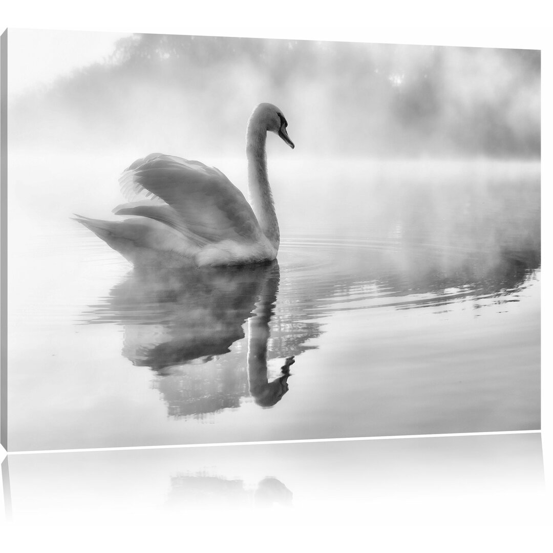 Leinwandbild Weißer Schwan im Morgennebel in Monochrom