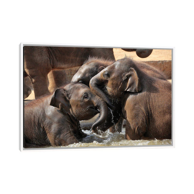 Water Fun by Antje Wenner-Braun - Print on Canvas, 101.6 cm H x 66.04 cm W, White Floater Frame
