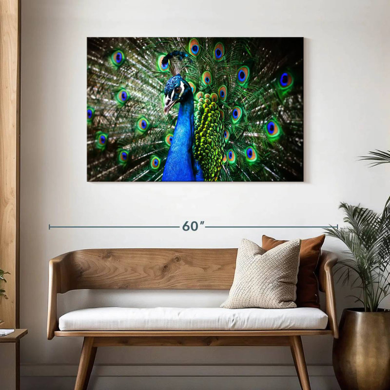 Brampt Peacock Show