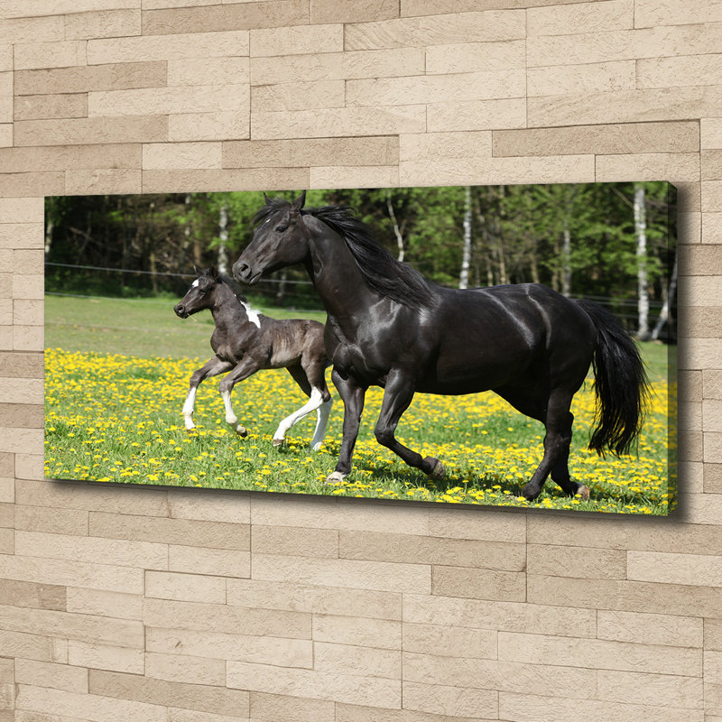Mare With Foal - No Frame Print, Canvas, 50cm H x 125cm W x 2cm D
