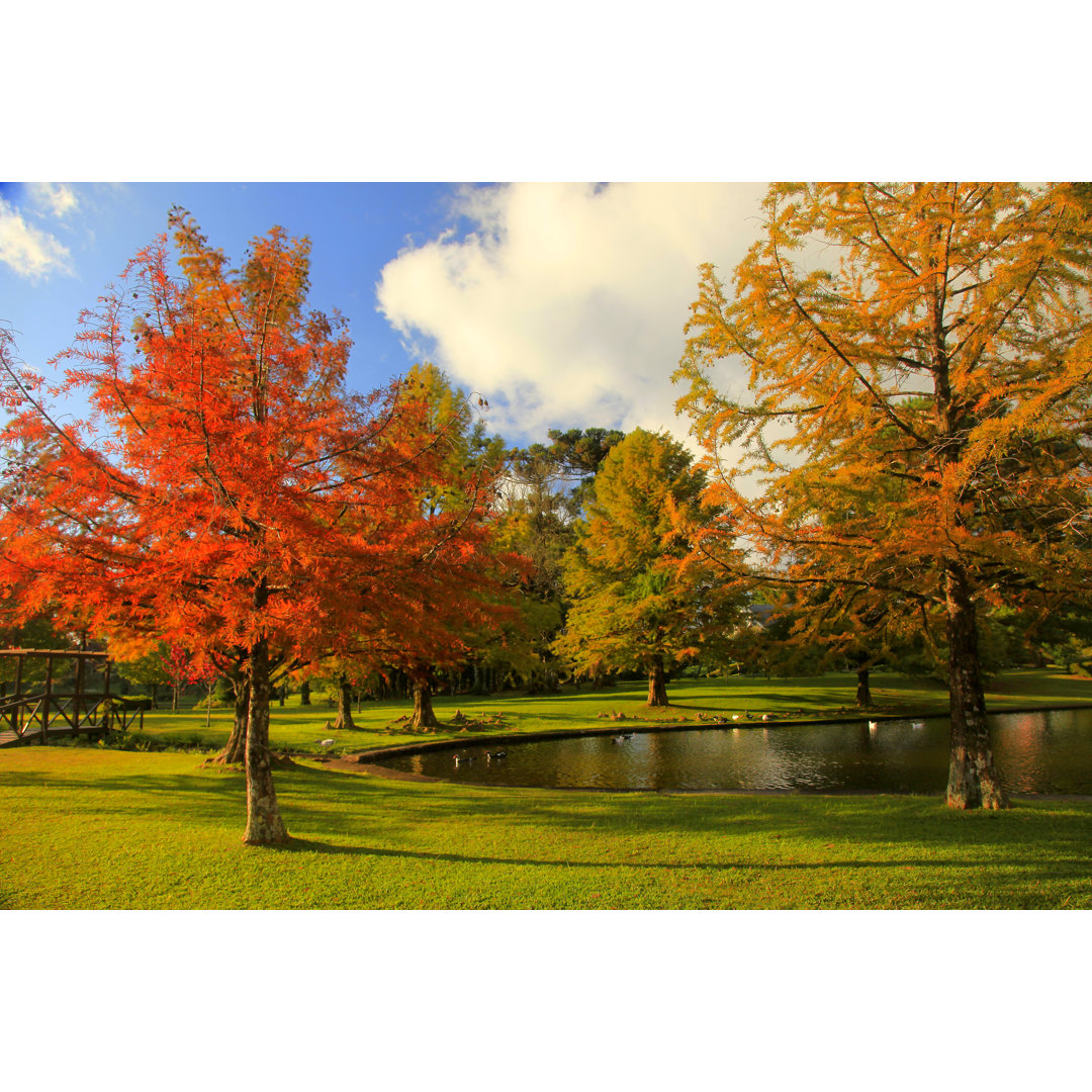 Herbstlandschaft und See