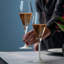 Manufacture Rock Blanc Champagne Flute