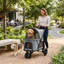 Poussette pliable pour animal de compagnie, poussette 3 roues, fenêtre en filet, coussin lavable, pour chiens de taille moyenne-132273933