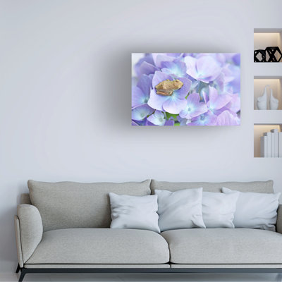 «Little Frog on Flower» par Jennie Marie Schell - impression sur toile tendue