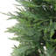 The Holiday Aisle® 5 ft. Cypress Tree in Nursery Pot