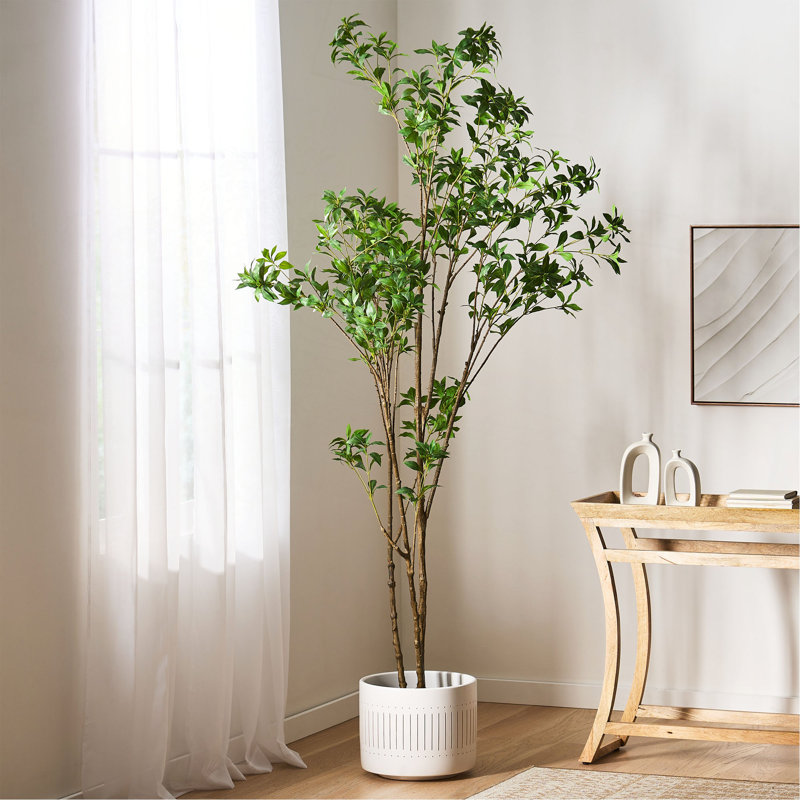 Pieris artificiel, 94,5 po x 47 po
