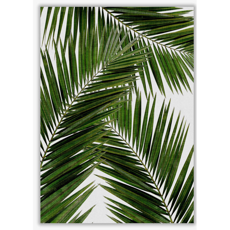 Palm Leaf III - Print, No Frame, 42 cm H x 30 cm W x 1 cm D