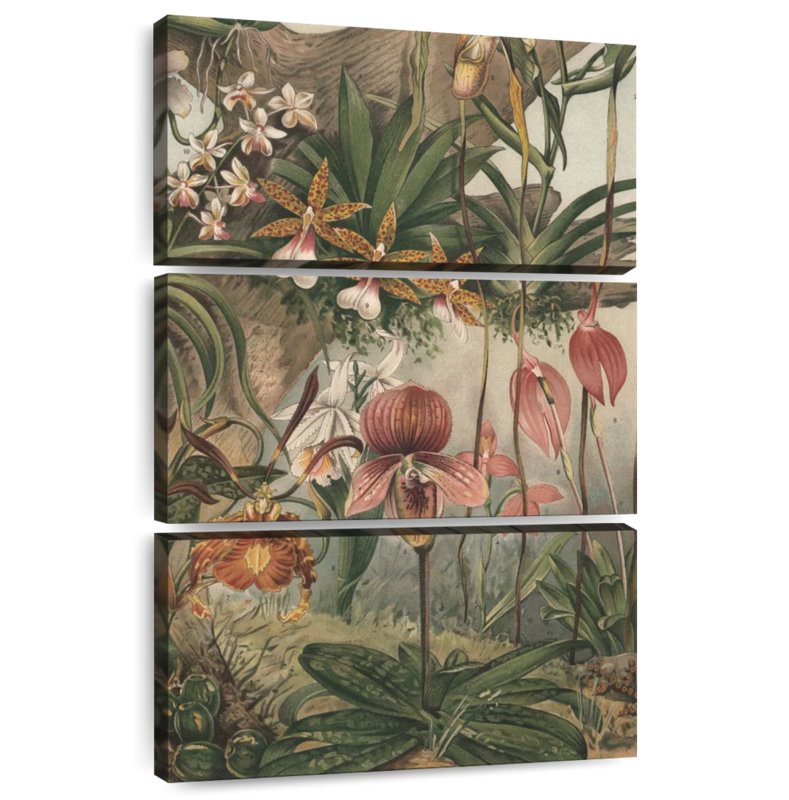 Orchidées Keiri, H 74 po x l 48 po