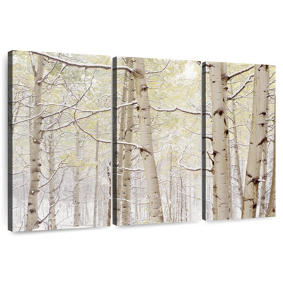 Harnek Autumn Aspens With Snow Colorado USA