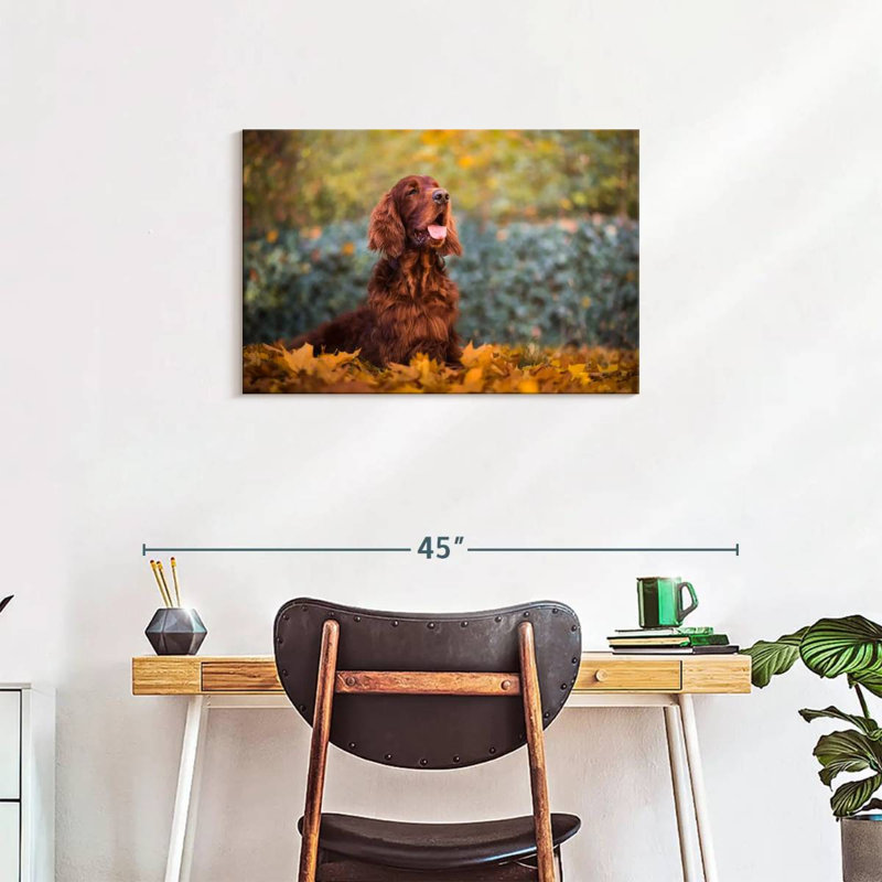 Irish Setter In Autumn