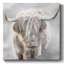 Sur toile-1960951838