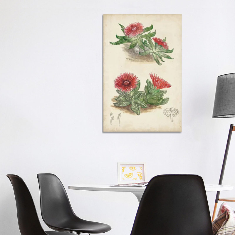 Curtis - Wrapped Canvas Print, 101.6 cm H x 66.04 cm W x 3.175 cm D