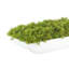 Moss 6" Artificial in Fiberstone Planter-1306519054-1306162796
