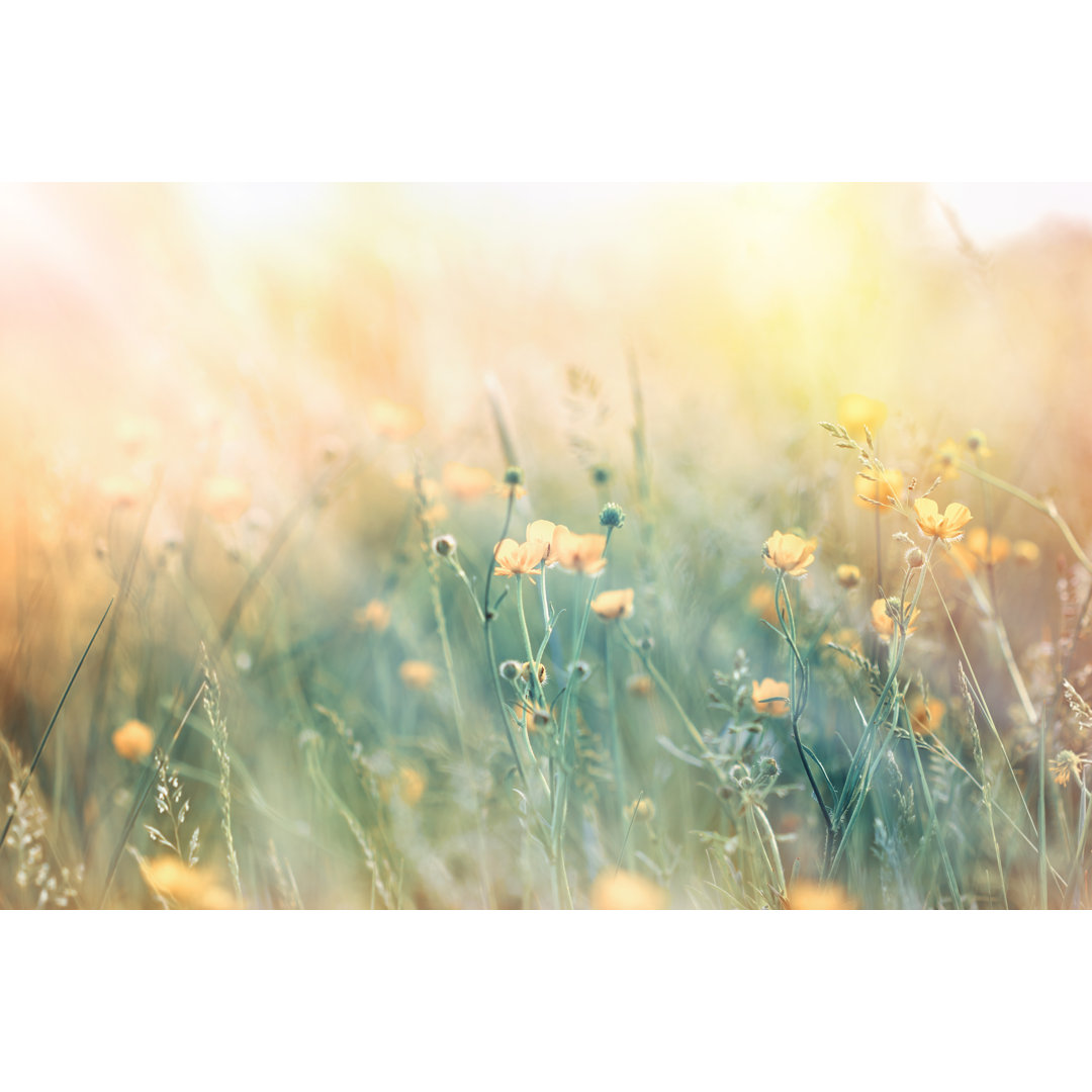 Weichzeichner auf leuchtenden gelben Blumen von Iris - Leinwandbild