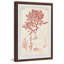 Antique Coral Seaweed IV - Reproduction d'art graphique encadré-30011190