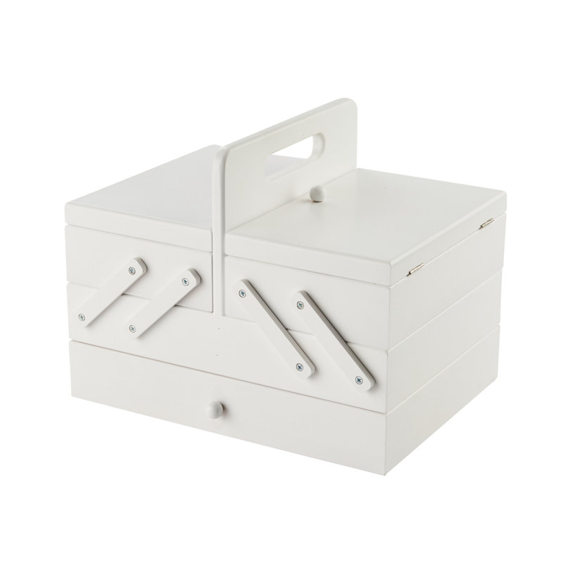 Latitude Run Storage Tub & Tote