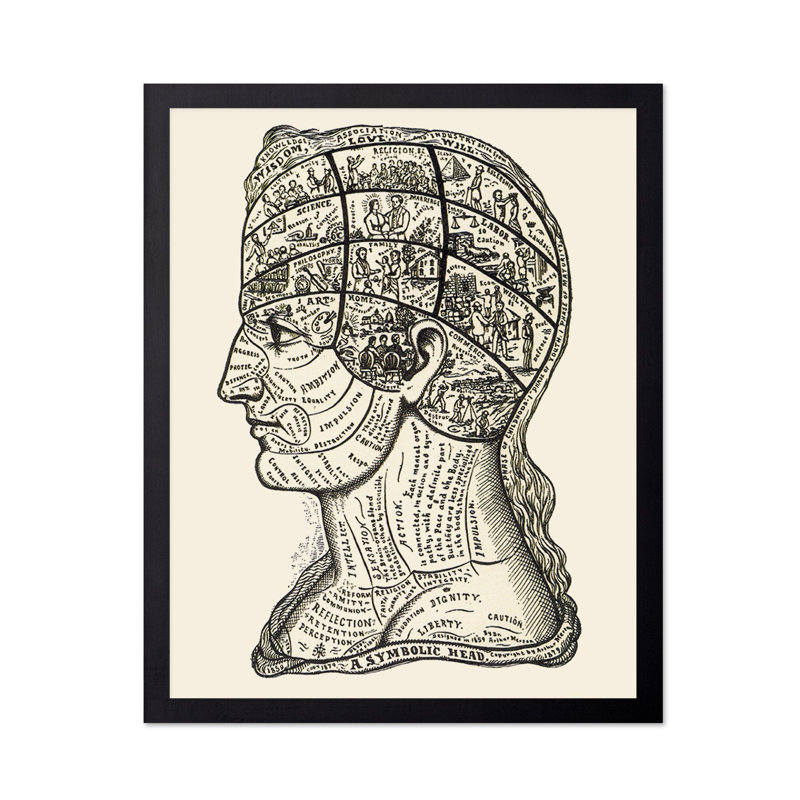 Une tête symbolique, diagramme de phénologie, Sans cadre, Affiche, H 11 po x l 14 po