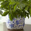 Handmade Terracotta Pot Planter