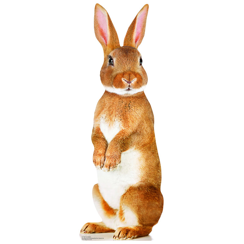 Cute Rabbit Cardboard Standup