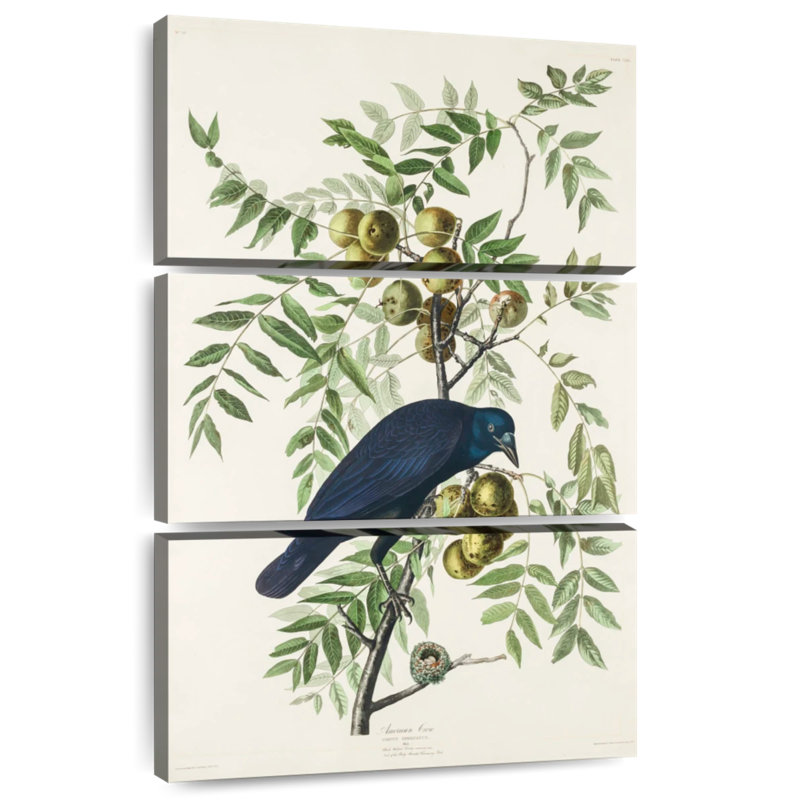 Brampt American Crow, 57" H x 36" W