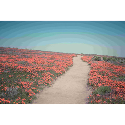California Blooms IV