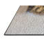 Tapise 6 zones beige cat portrait-1413177696