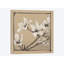 « white floral study i », impression sur toile-72455365-72455360-30004546