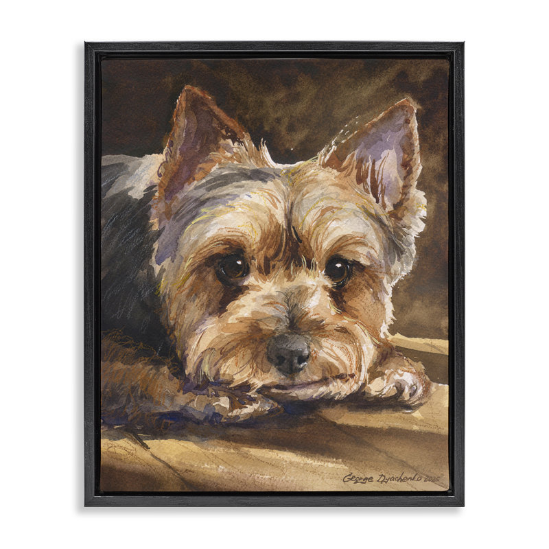 Cadre flottant Yorkshire Terrier Portrait, conception par George Dyachenko, Cadre flottant noir de jais, H 21 po x l 17 po
