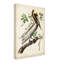 «The Brown Pelican» par James Audubon, reproduction d'art sur toile-1338123035