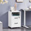 40cm Wide 2 -Drawer Mobile File Cabinet-1885845600