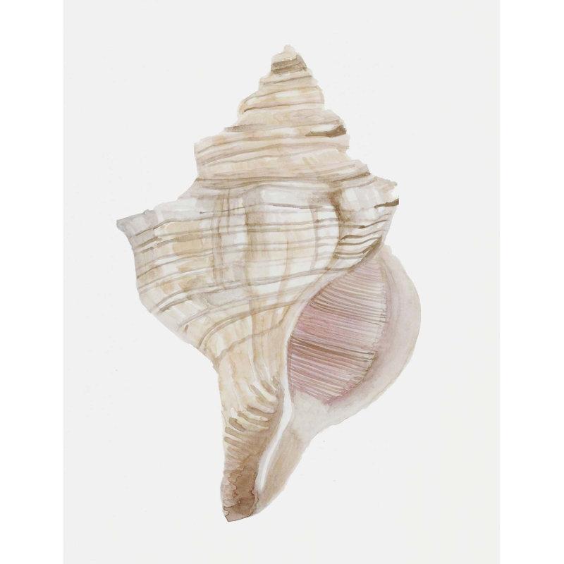 «Sea Shell 12» par Rita Taverni - photographie sur toile tendue, H 60 po x l 43 po, Toile tendue