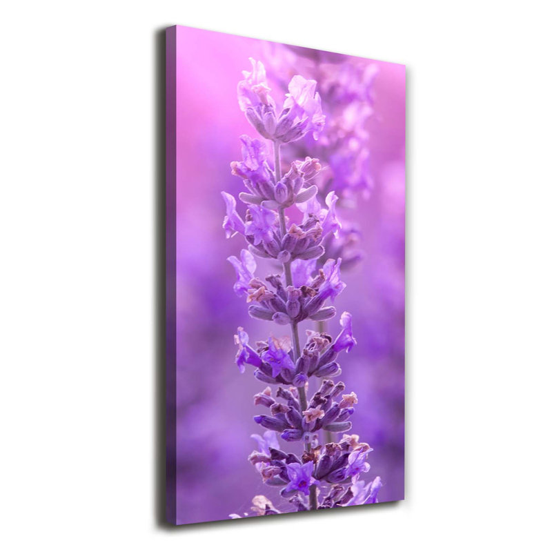 Lavender Field - Wrapped Canvas Print