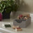 Kinney 3" H x 12" W x 6" D Organizer Set-954192403