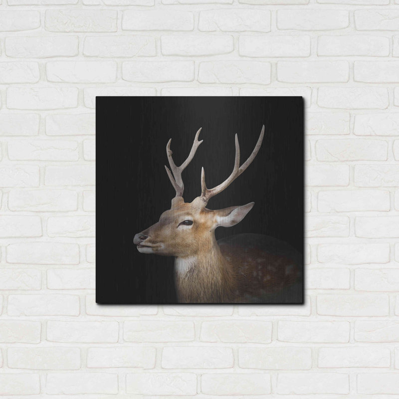 "Sika Deer" par Luxe, H 24 po x l 24 po