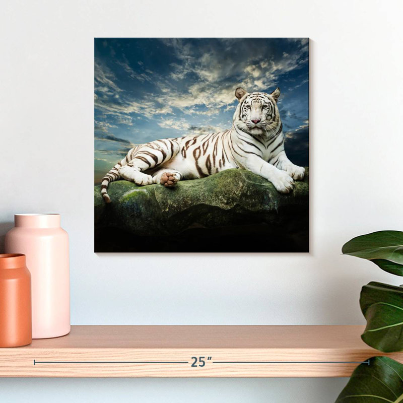 Brampt Lounging White Tiger, 16" H x 16" W