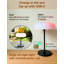 Metal Table Lamp